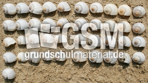 Schneckenhäuser-41.jpg